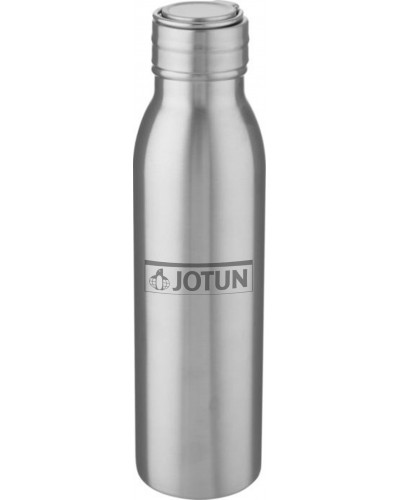 Bidon ze stali nierdzewnej Harper o pojemności 700 ml z metalową pętelką