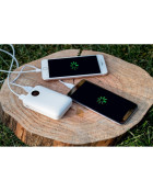 Power bank 10000 mAh Air Gifts