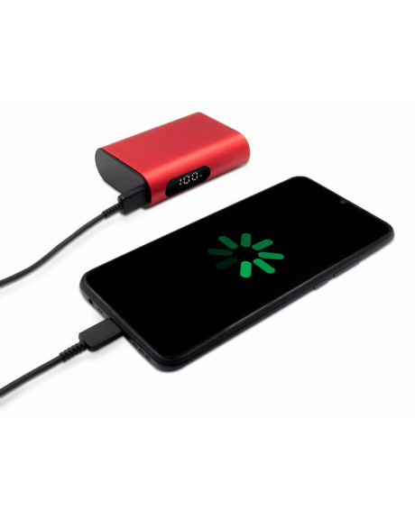 V1379 Power bank 10000 mAh | Walt